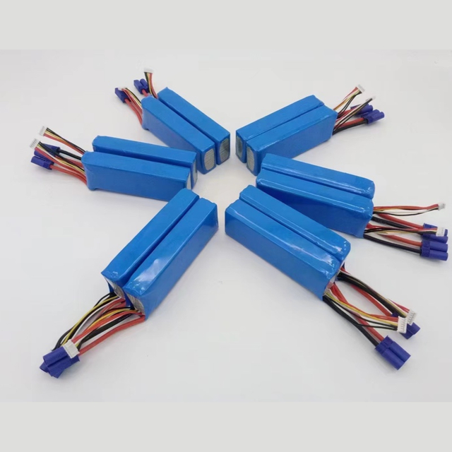 Battery Pack Custom Model 1